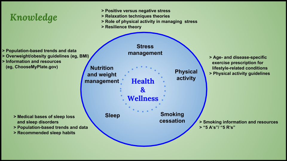 Promoting Health and Wellness Through Physical Therapy