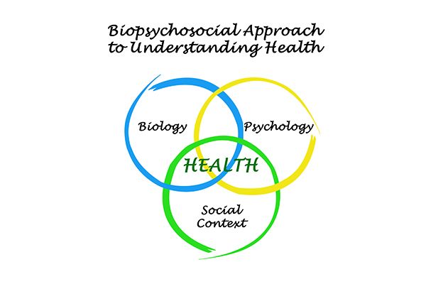 HPP 178 | Biopsychosocial Intervention