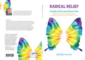 Radical Relief: A Guide to Overcome Chronic Pain | Return to a Full, Active Life Using Pain Science, Mindfulness and Acceptance and Commitment Therapy
